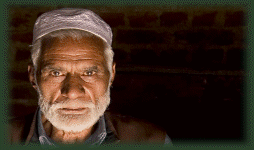 frontiers_sa001002.gif